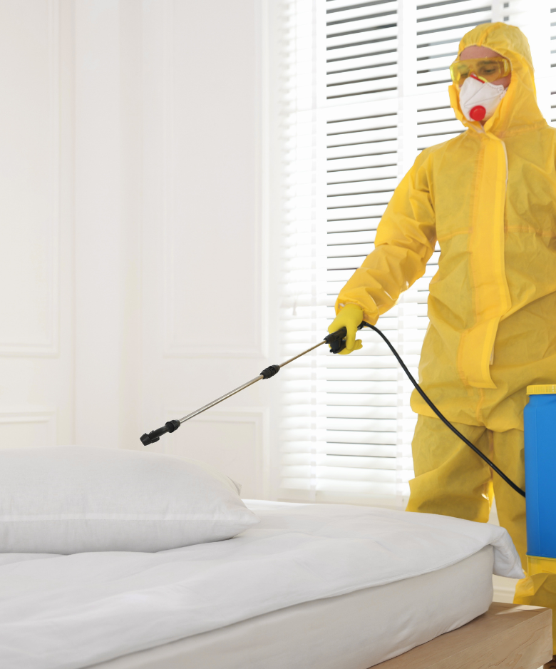 Professional Pest Control Team in Wattle Park